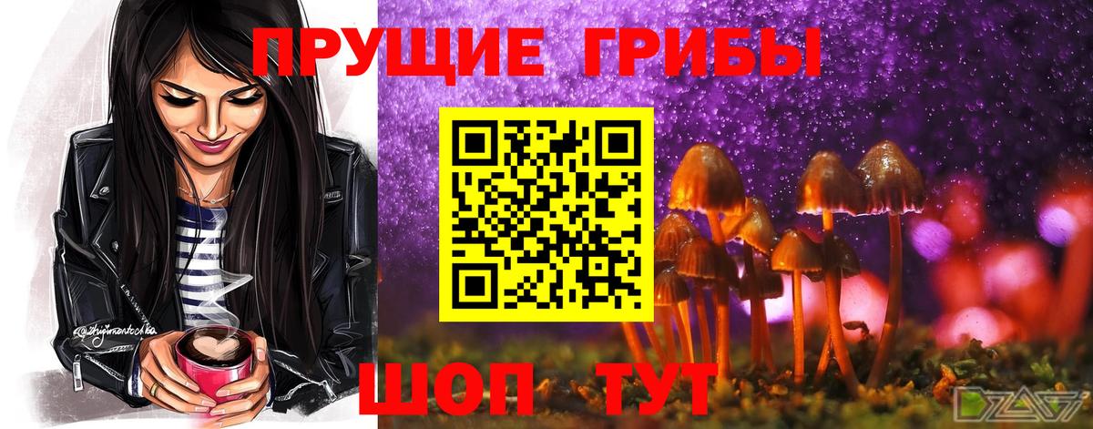 Галлюциногенные грибы Cubensis Печора