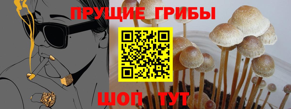 Галлюциногенные грибы MAGIC MUSHROOMS  Вход с VPN  Печора  Галлюциногенные грибы Psilocybine cubensis 